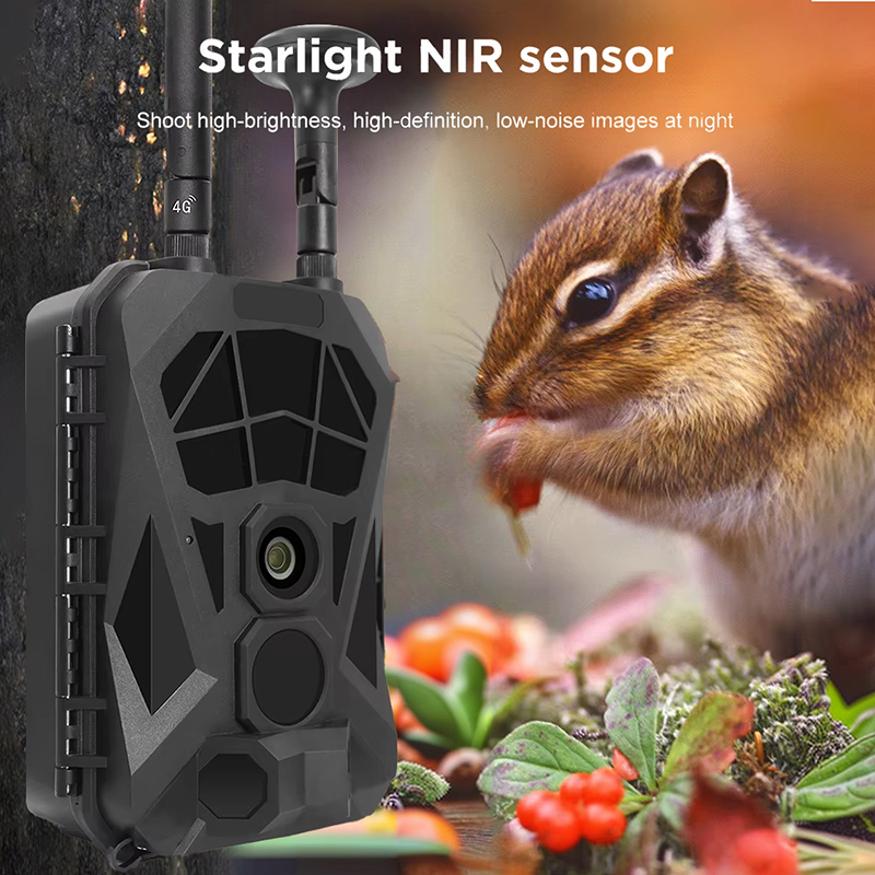 Outdoor Hunting Camera Wireless - Cámara de rastreo 4G GPS cámara