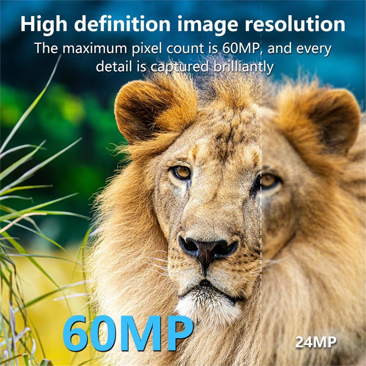 Cámara de Caza AS62 8K HD con  - Hunting Outdoor Rug reseña y precio