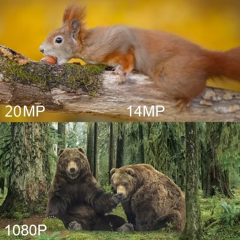Cámara de rastreo para caza al - Outdoor Hunting Camera Wireless reseña y precio