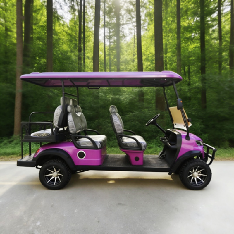 Carrito de Golf Eléctrico con  - Outdoor Hunting Vehicle reseña y precio