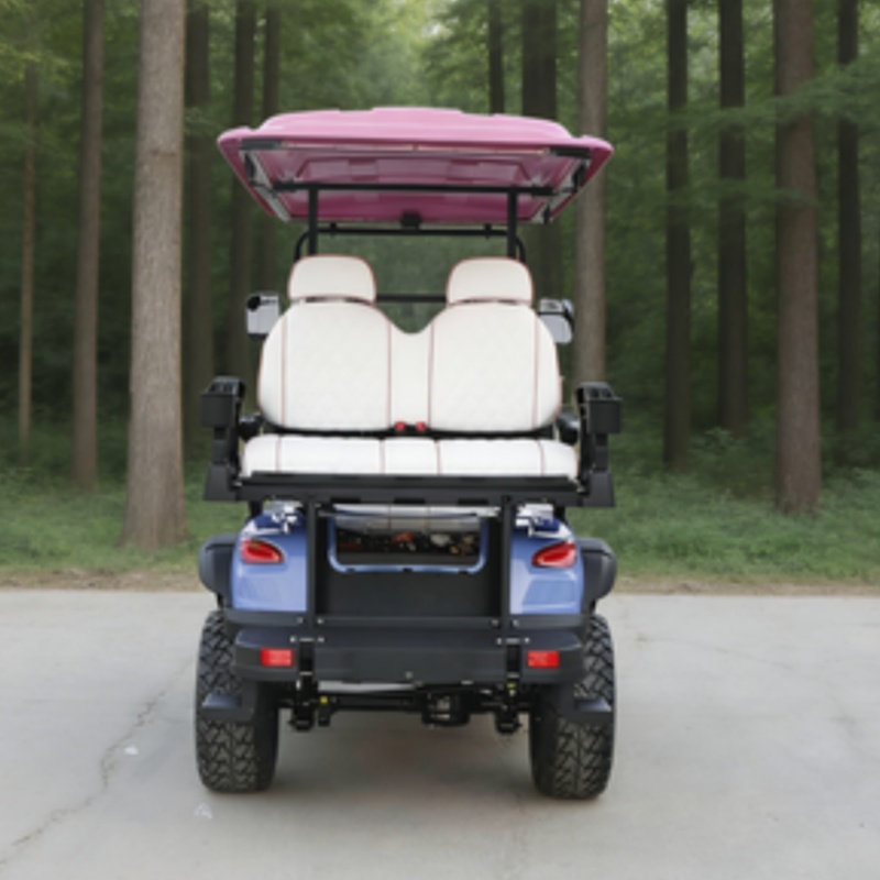 Carrito de Golf Eléctrico con  - Outdoor Hunting Vehicle reseña y precio
