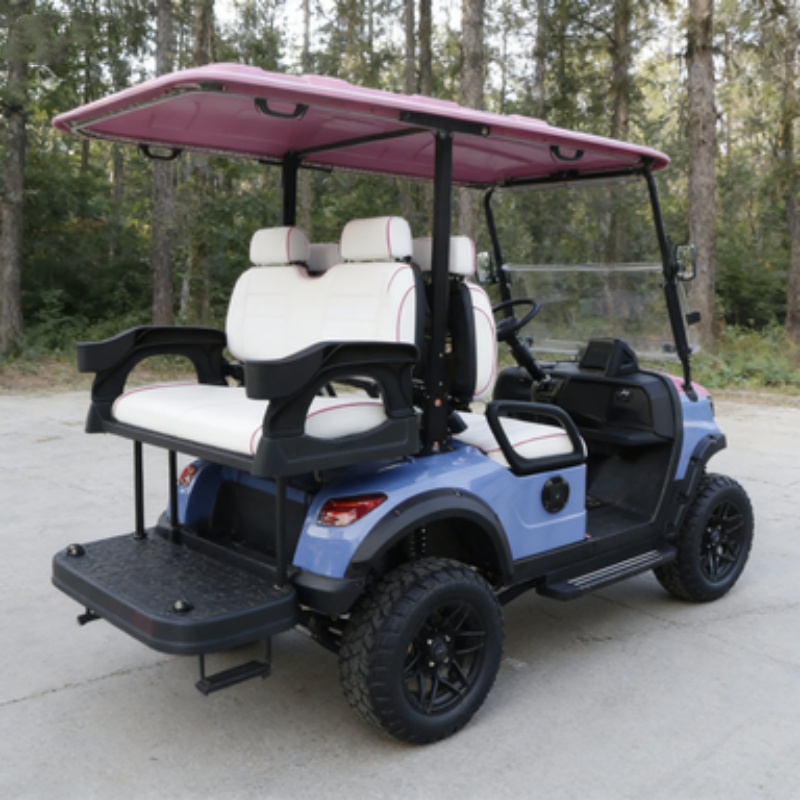 Carrito de Golf Eléctrico con  - Outdoor Hunting Vehicle reseña y precio
