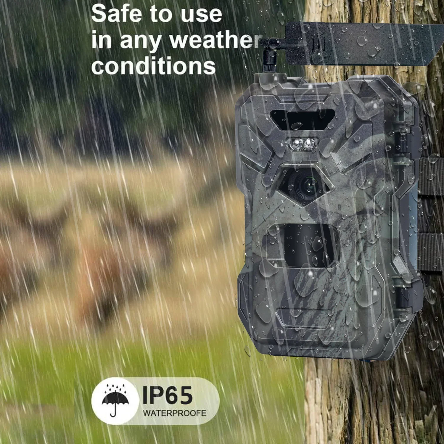 HC-880Pro 4G 30MP HD 2K trampa - Outdoor Hunting Camera Wireless reseña y precio