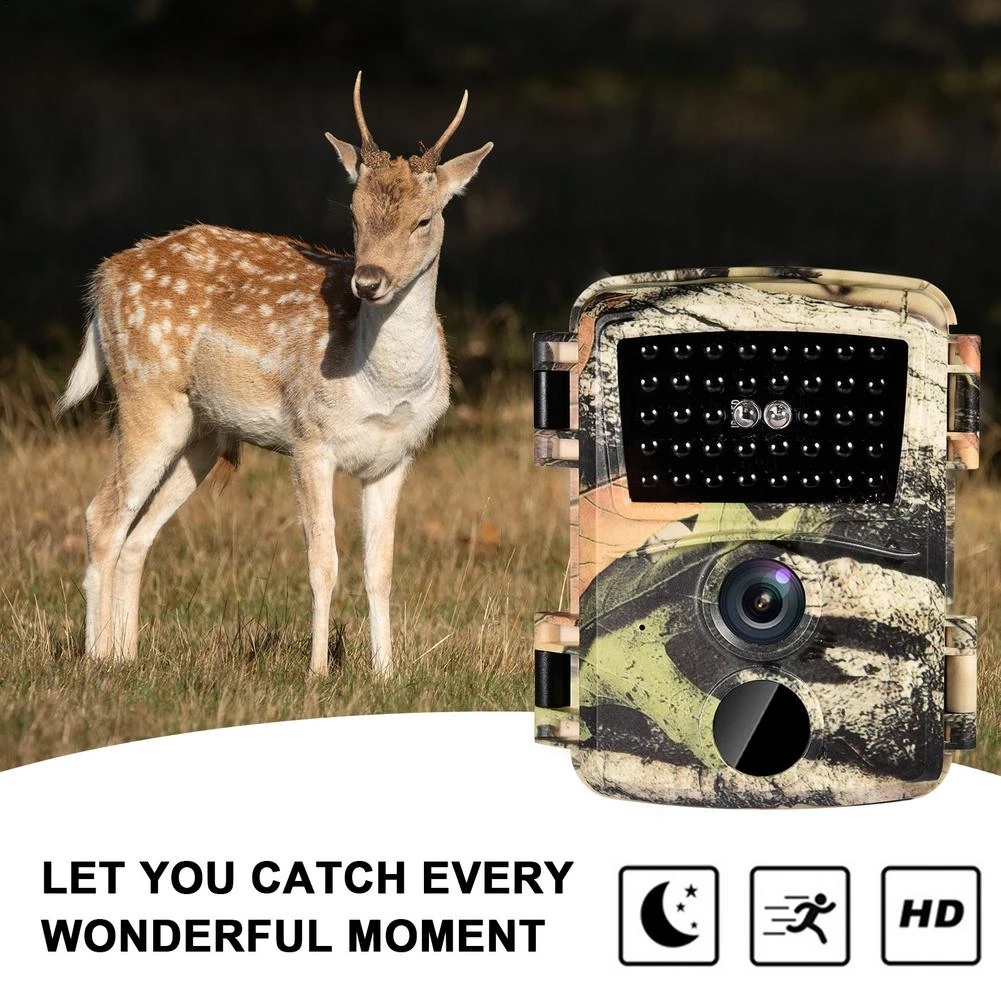 Mini cámara de caza de rastreo - Outdoor Hunting Camera Wireless reseña y precio