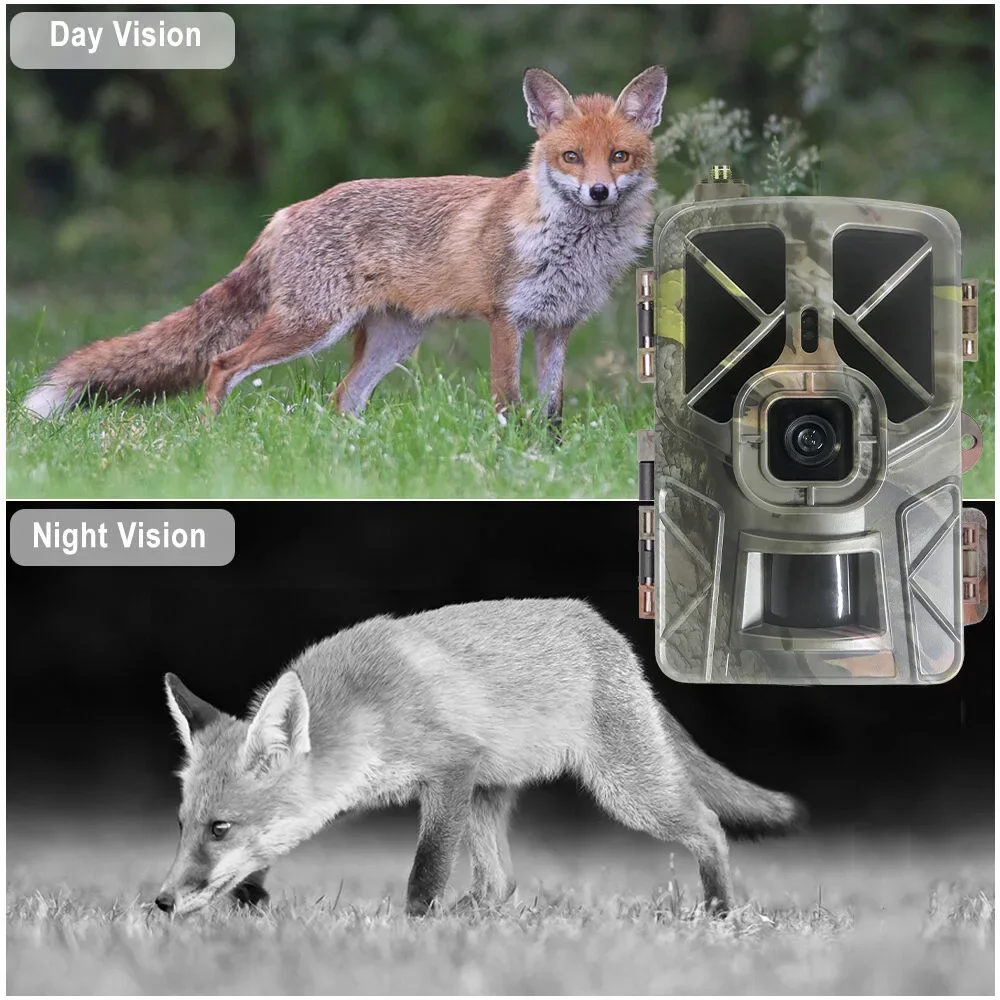 HC-935Pro 2K exploración de vi - Outdoor Hunting Camera Wireless reseña y precio