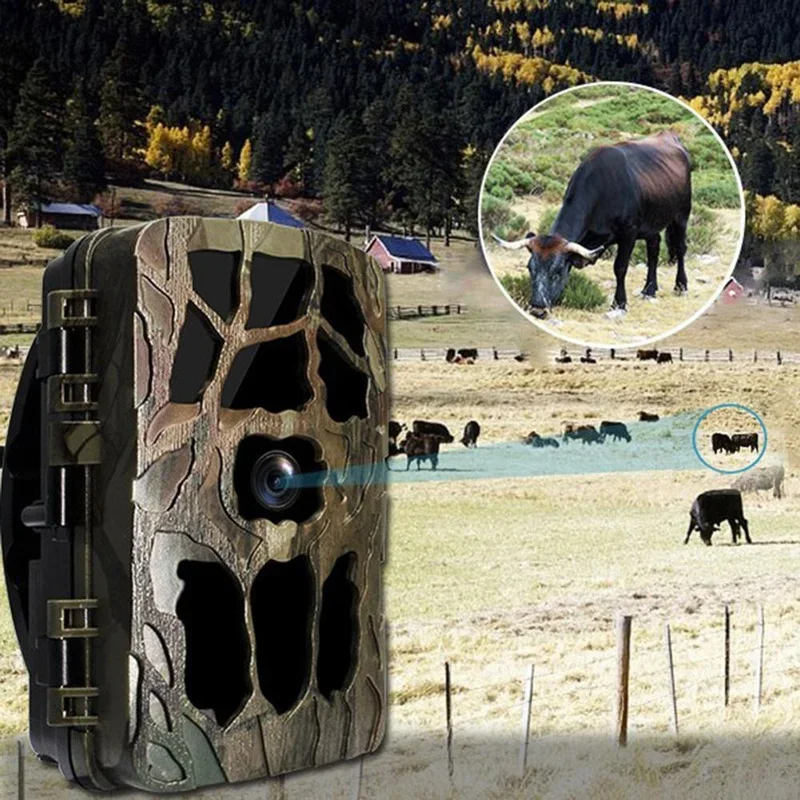 H982 IP66 impermeable 4K infra - Outdoor Hunting Camera Wireless reseña y precio