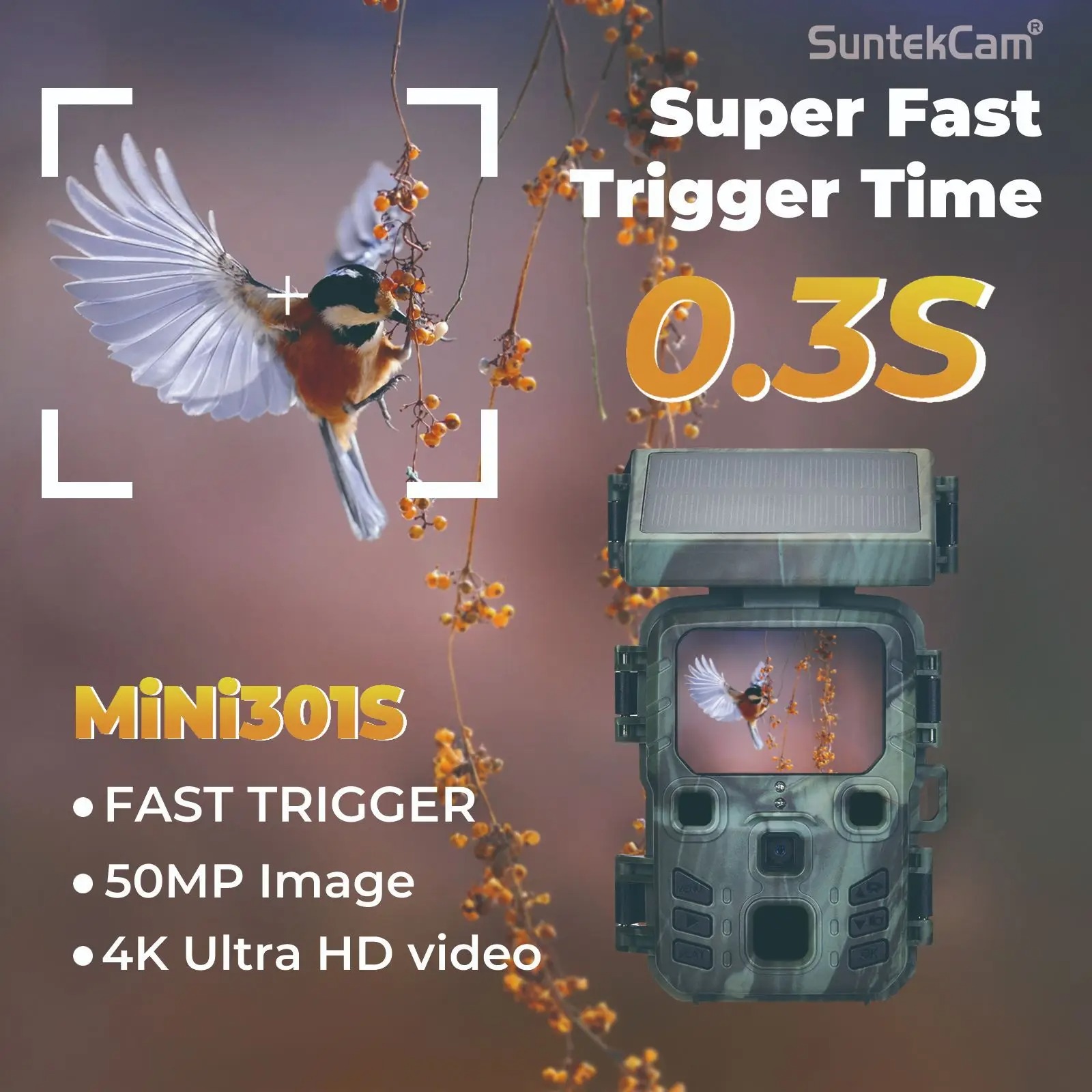 Cámara de Rastreo Inalámbrica  - Outdoor Hunting Camera Wireless reseña y precio
